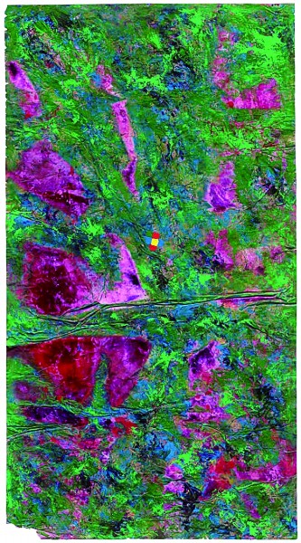 神韻交融天地間